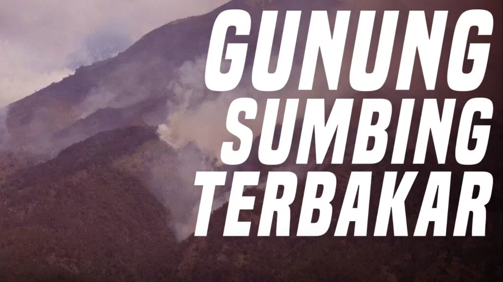 Gunung Sumbing Terbakar, Puluhan Pendaki Dievakuasi Tim SAR - Verona ...